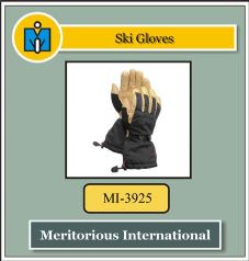Ski Gloves